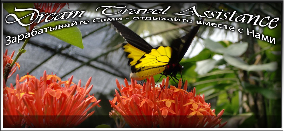 Malaysia, Kuala Lumpur, Информация об Экскурсии (Парк бабочек (Butterfly Park)) на сайте любителей путешествовать www.dta.odessa.ua
